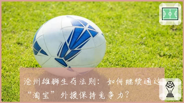 沧州雄狮生存法则：如何继续通过“淘宝”外援保持竞争力？